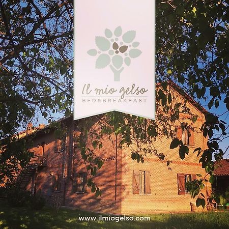Bed & Breakfast Il Mio Gelso Villanova d'Asti Eksteriør billede