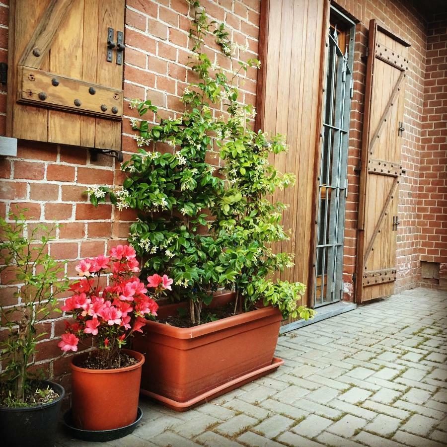 Bed & Breakfast Il Mio Gelso Villanova d'Asti Eksteriør billede