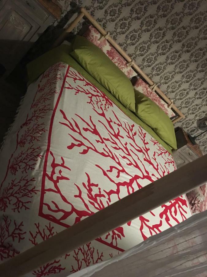 Bed & Breakfast Il Mio Gelso Villanova d'Asti Eksteriør billede